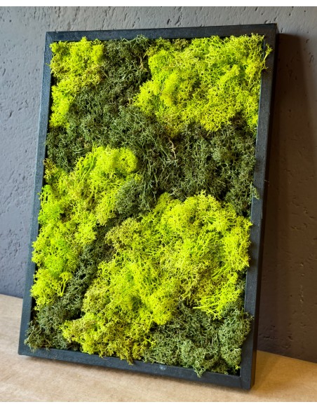 Quadro di muschio stabilizzato Grande