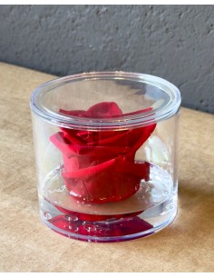 Rosa rossa Eterna Stabilizzata in Box di Plexiglass...