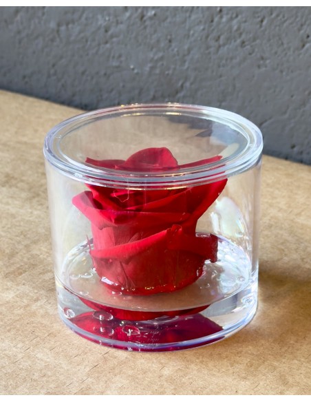 Rosa rossa Eterna Stabilizzata in Box di Plexiglass Trasparente