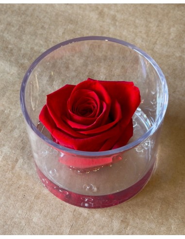 Rosa rossa Eterna Stabilizzata in Box di...