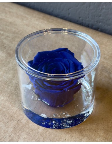 Rosa Eterna Blù in Box di Plexiglass Trasparente