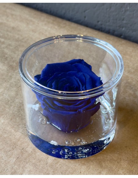 Rosa Eterna Blù in Box di Plexiglass Trasparente