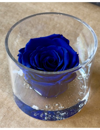 Rosa Eterna Blù in Box di Plexiglass Trasparente