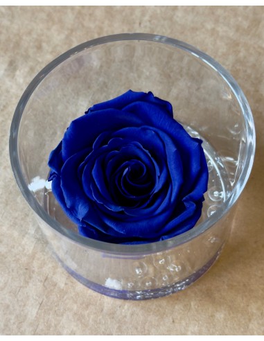 Rosa Eterna Blù in Box di Plexiglass Trasparente