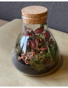 Terrarium lab | bomboniera viva