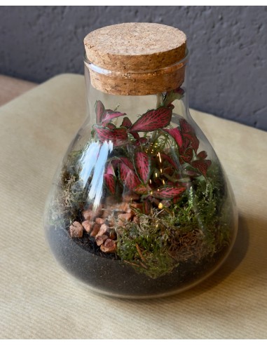Terrarium lab | bomboniera viva