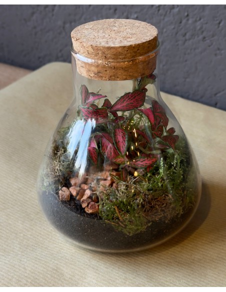 Terrarium lab | bomboniera viva