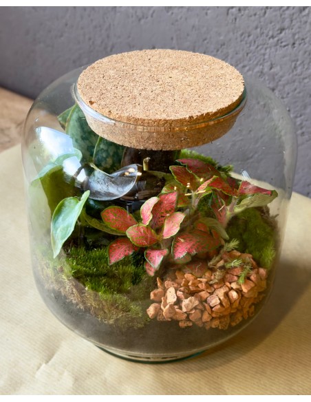 Terrarium cilindro SMALL