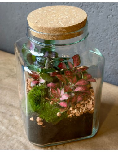 Terrarium Block