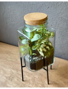 Terrarium Stand Block