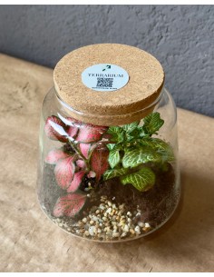 Terrarium gomes