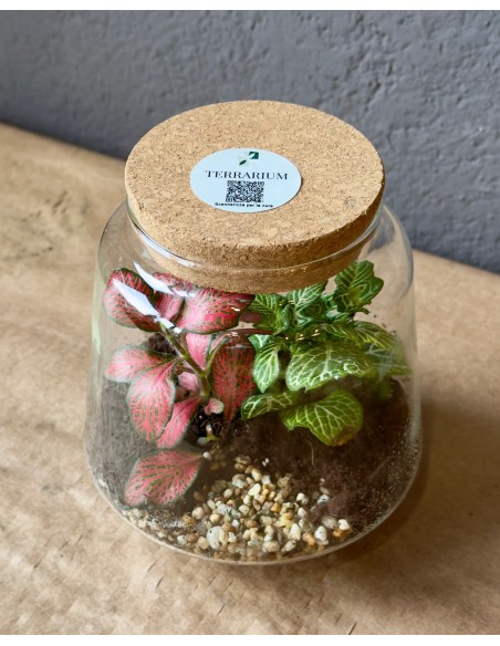 Terrarium gomes