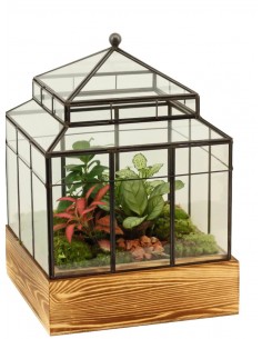 Terrarium Serra in Vetro con Base in Legno