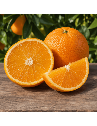 Arancio Washington (Citrus sinensis) ad...