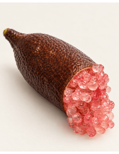 Limone caviale rosa (finger lime) ad alberello...