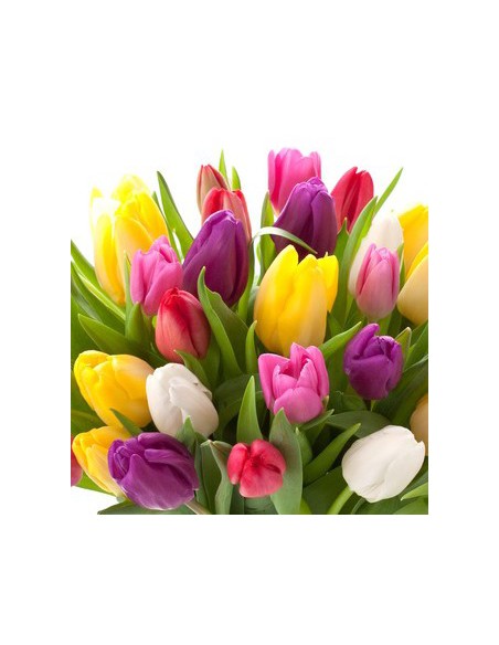 bouquet di tulipani colorati