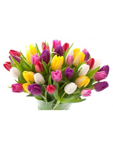 Mazzo di tulipani da regalare