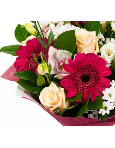 Holly, Mazzo di Gerbere, Rose e Lisianthus