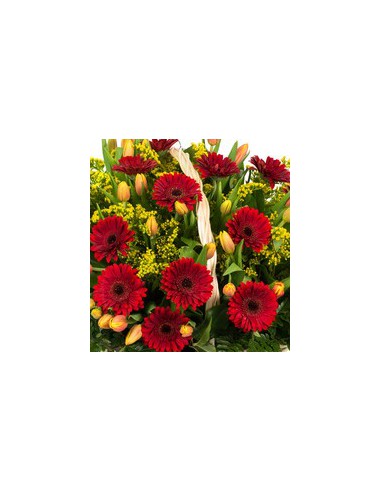 Centrotavola, Cesto di Gerbere Rosse e Tulipani