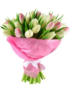 Floriana, Bouquet di 25 Tulipani Bianchi e Rosa