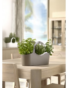 Vaso per piante aromatiche