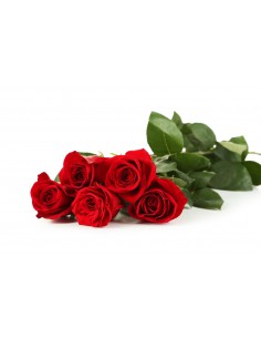 cinque rose rosse