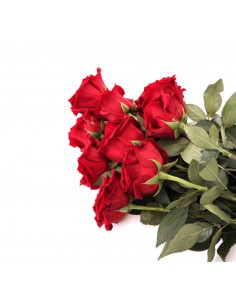 nove rose rosse in confezione regalo
