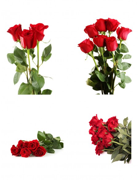 Rose per un mese