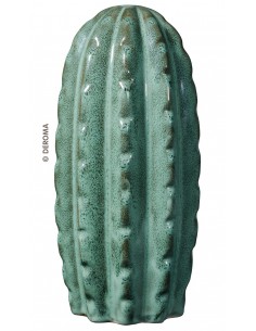 CACTUS TERRACOTTA SMALTATA