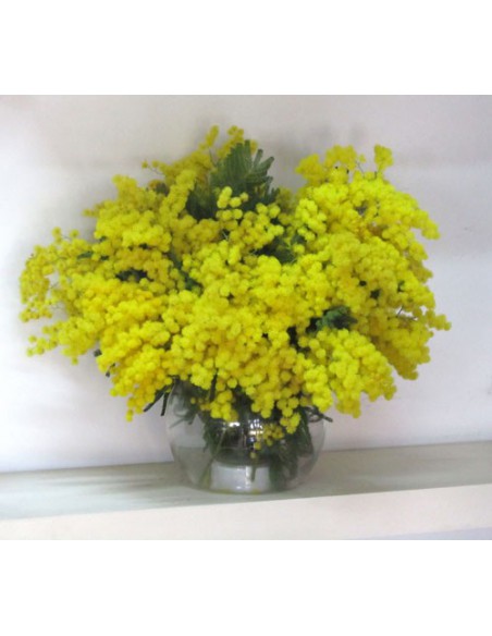 fascio di mimose, mimosa a domicilio, mimose festa della donna