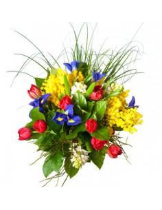 fiori di stagione e mimose