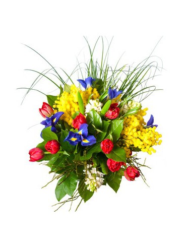 fiori di stagione e mimose