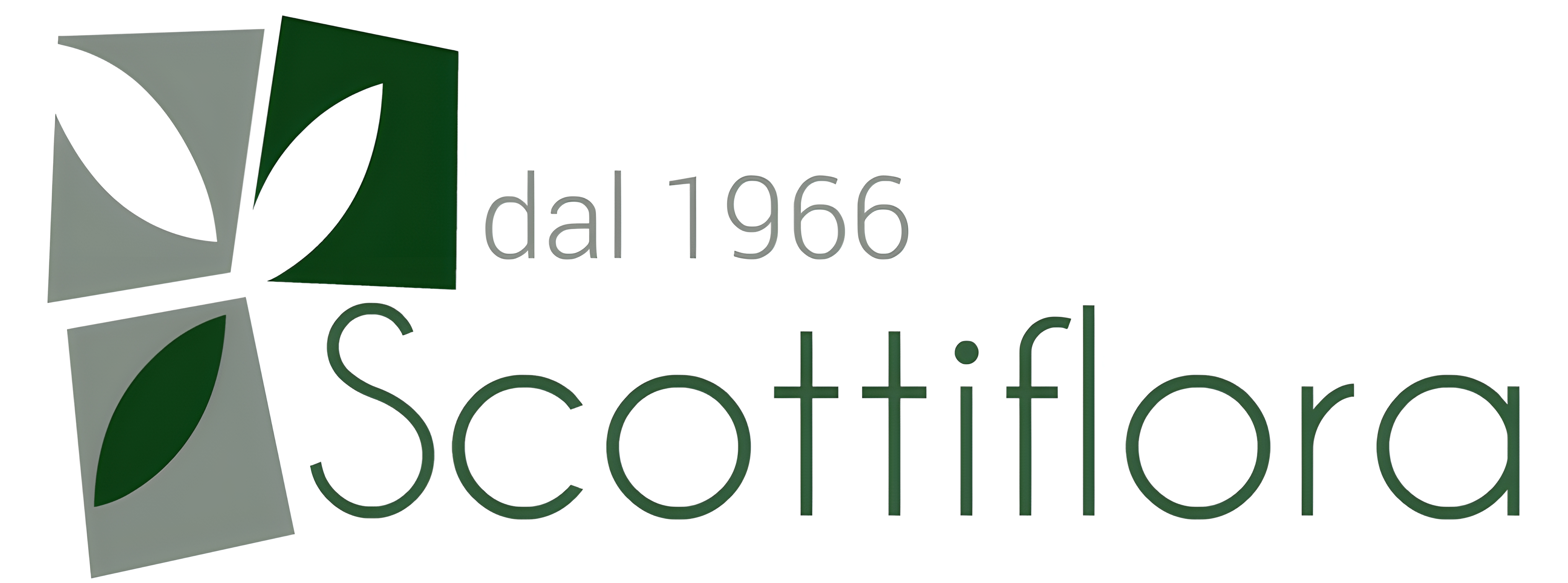 Logo scottiflora 4k compresso.png